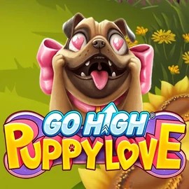 Go High Puppy Love logo by RubyPlay at Fatbet Casino